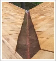 Slide of T. Joseph Dunleavy