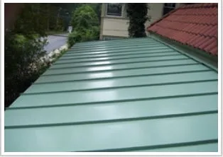 Slide of T. Joseph Dunleavy