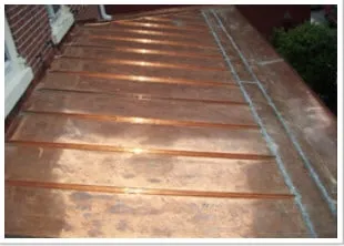 Slide of T. Joseph Dunleavy