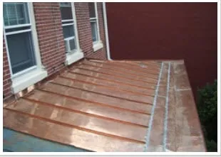 Slide of T. Joseph Dunleavy