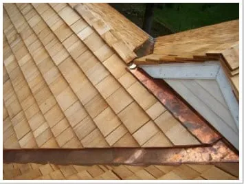 Slide of T. Joseph Dunleavy