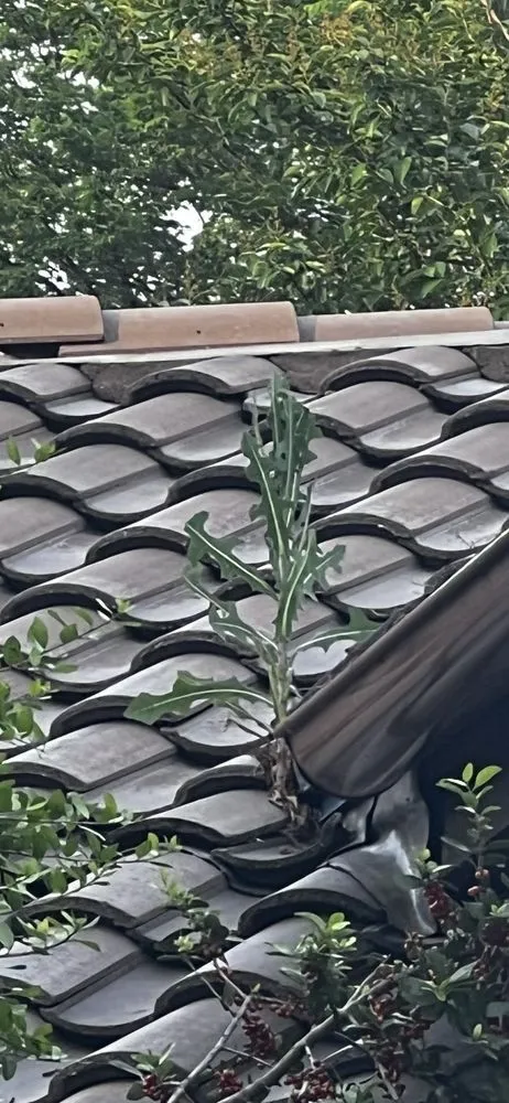 Slide of T Rock Roofing & Construction