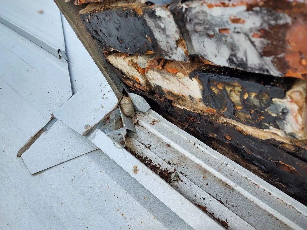 Slide of T-Roy's Relief Roofing