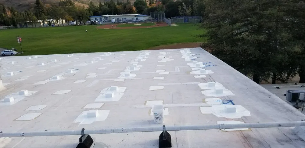 Slide of T.A. Krause