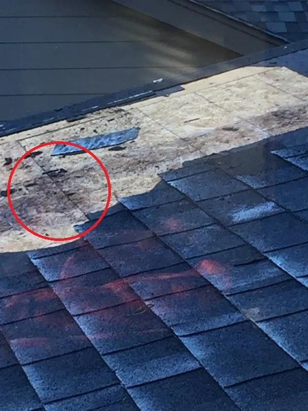 Slide of Tacoma Roofing & Waterproofing