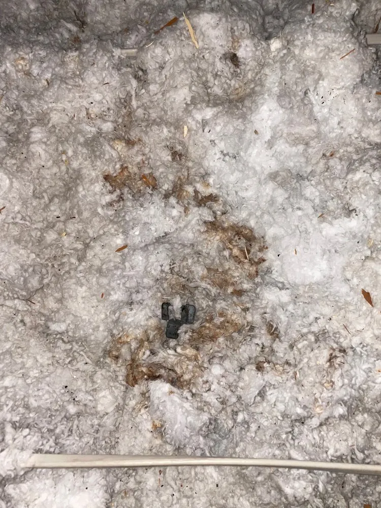 Slide of Tadlock Roofing