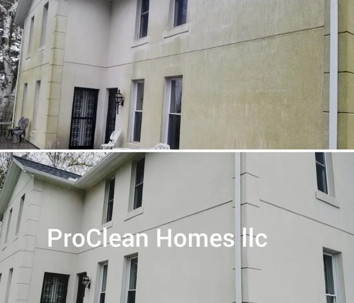 Slide of Tampa Bay Roof Cleaning