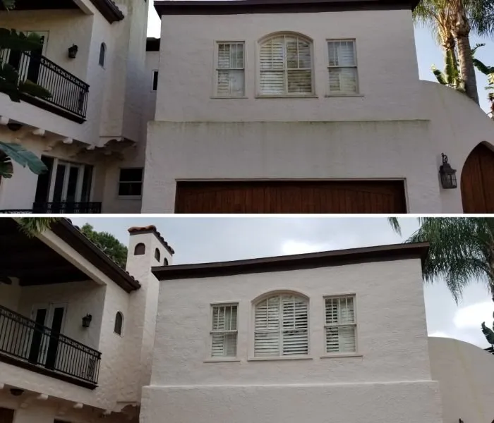 Slide of Tampa Bay Roof Cleaning