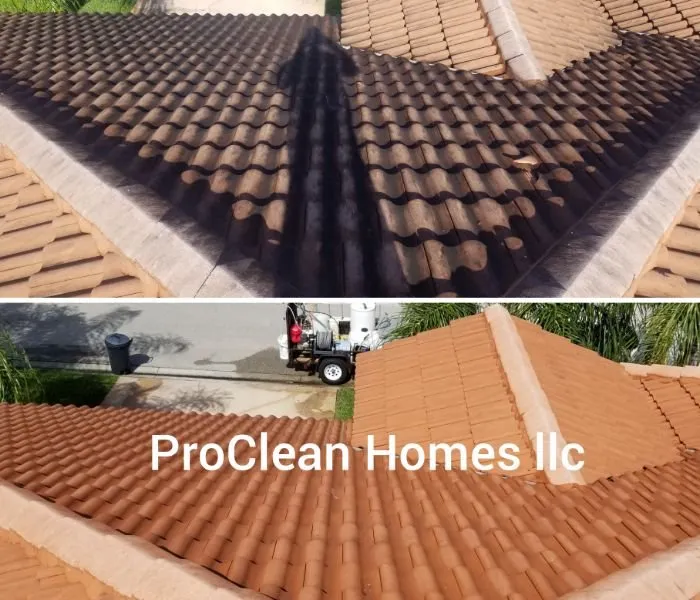 Slide of Tampa Bay Roof Cleaning