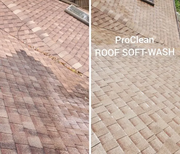 Slide of Tampa Bay Roof Cleaning