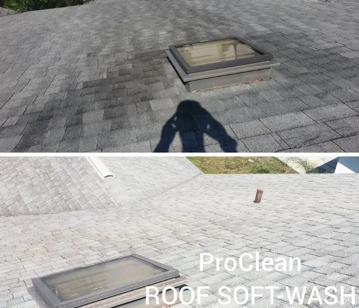 Slide of Tampa Bay Roof Cleaning