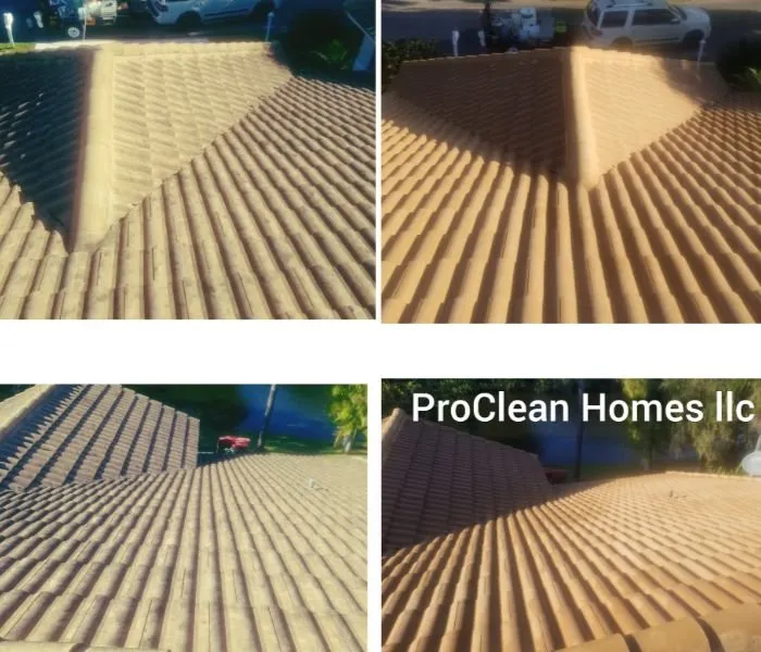 Slide of Tampa Bay Roof Cleaning