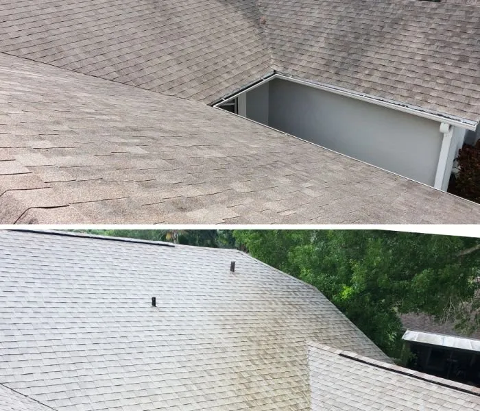 Slide of Tampa Bay Roof Cleaning