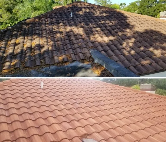 Slide of Tampa Bay Roof Cleaning