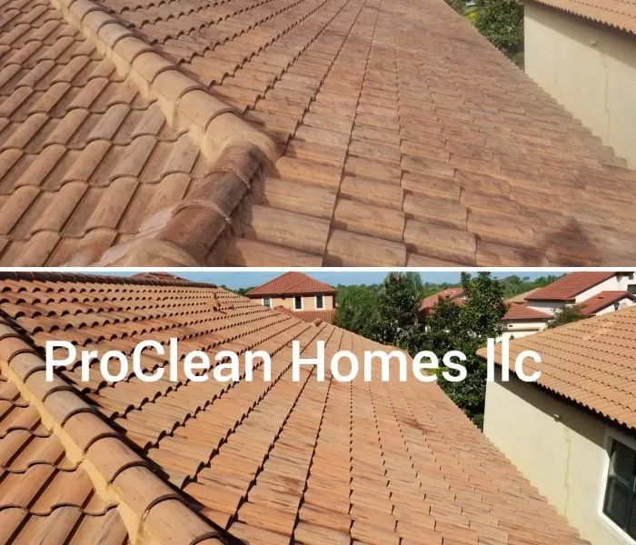 Slide of Tampa Bay Roof Cleaning