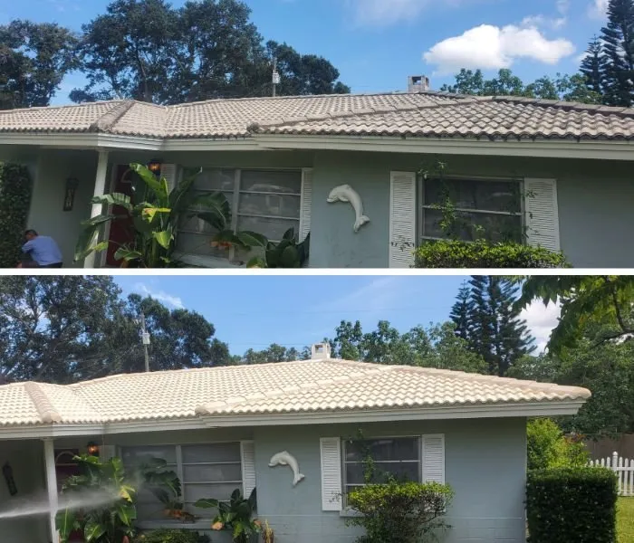 Slide of Tampa Bay Roof Cleaning