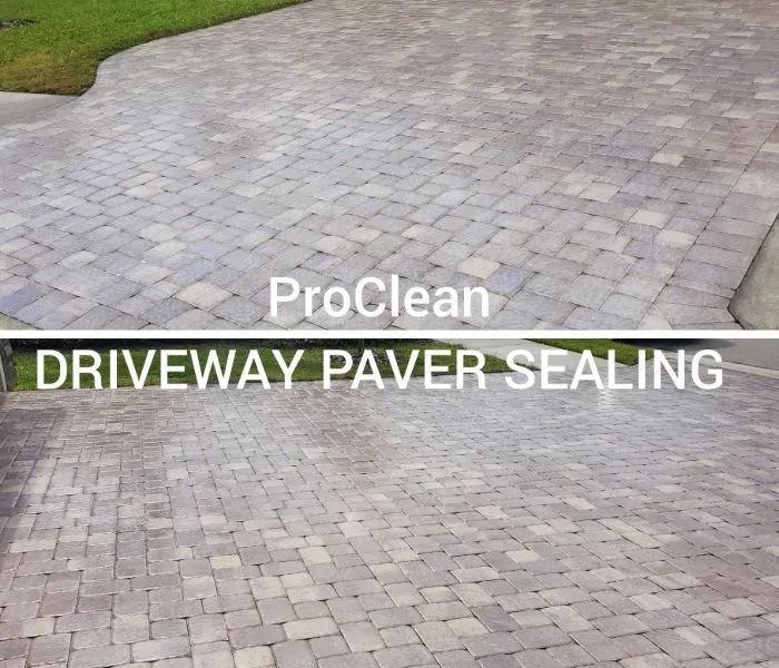 Slide of Tampa Bay Roof Cleaning