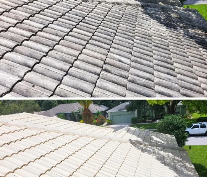 Slide of Tampa Bay Roof Cleaning