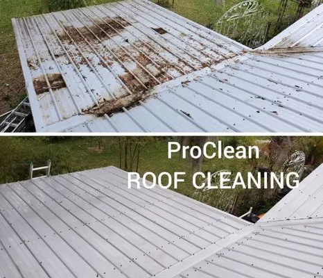 Tampa Bay Roof Cleaning Logo