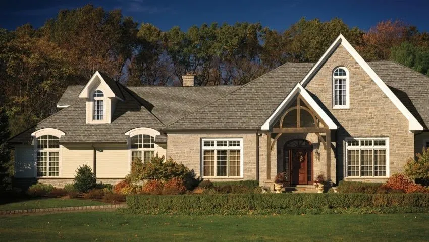 Slide of Tango & Gatti