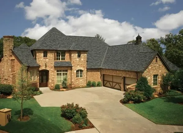 Slide of Tango & Gatti