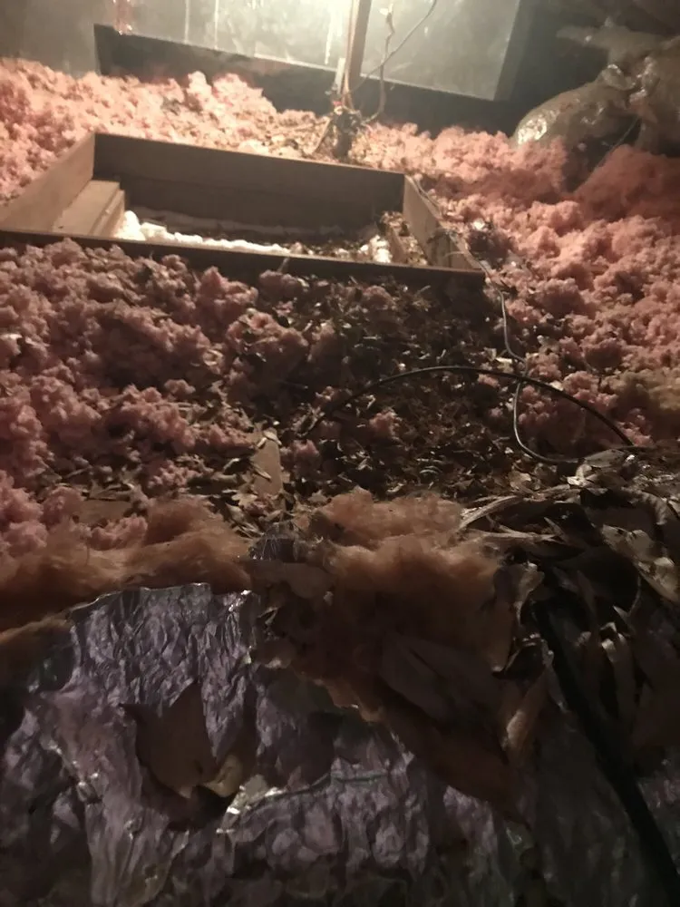 Slide of Tanner's Roofing Service