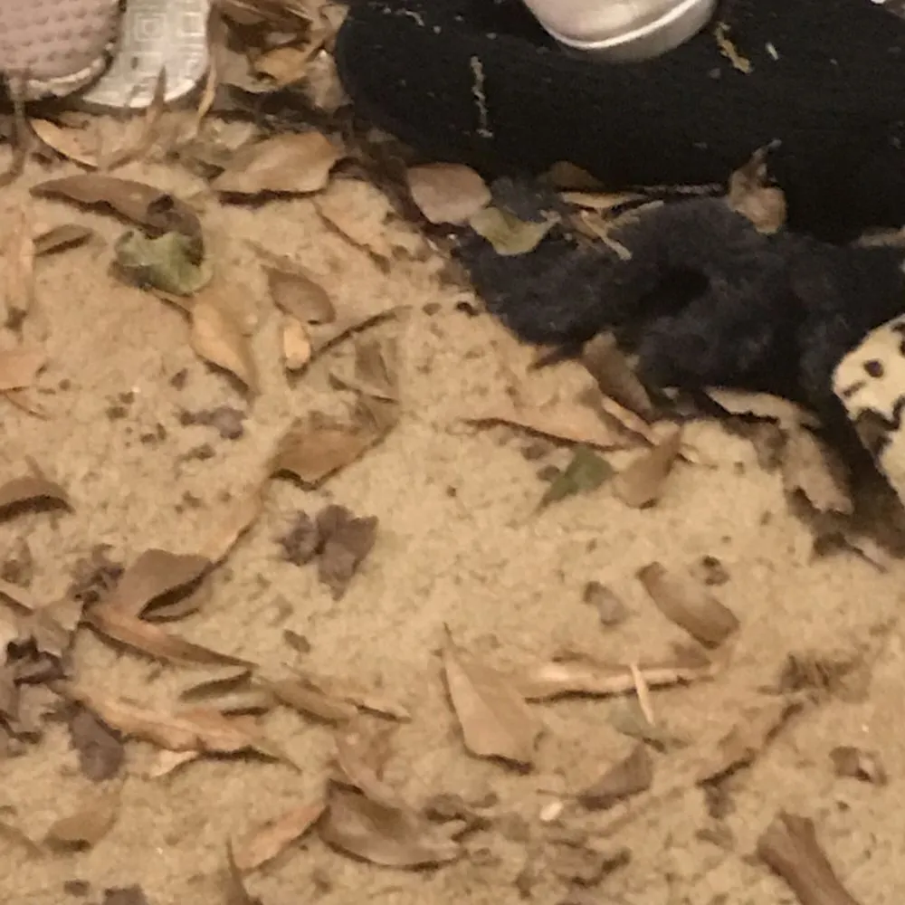 Slide of Tanner's Roofing Service