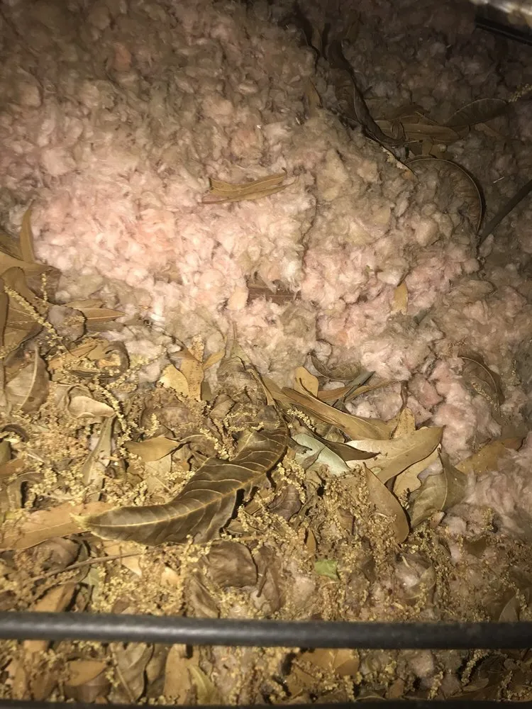 Slide of Tanner's Roofing Service