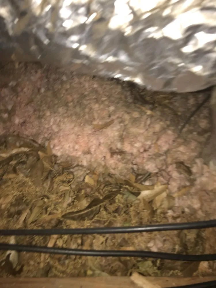 Slide of Tanner's Roofing Service