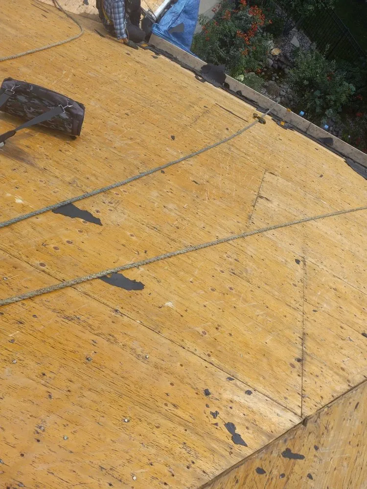 Slide of Tapia Roofing