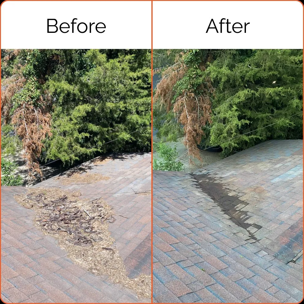 Slide of Taraxia Pro Wash