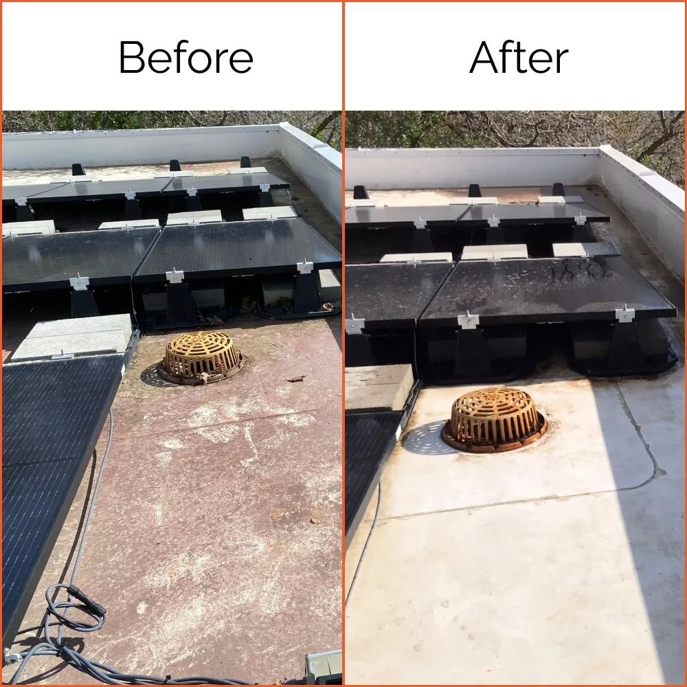 Slide of Taraxia Pro Wash