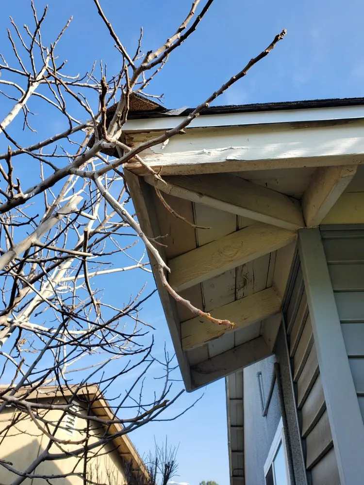 Slide of Target Home Design