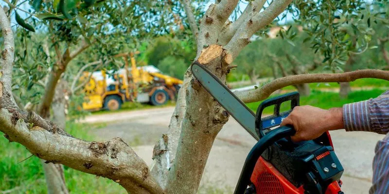 Local roof installation experts serving Winston-Salem, NC - Tarheel Residential Roofing and Tree Service