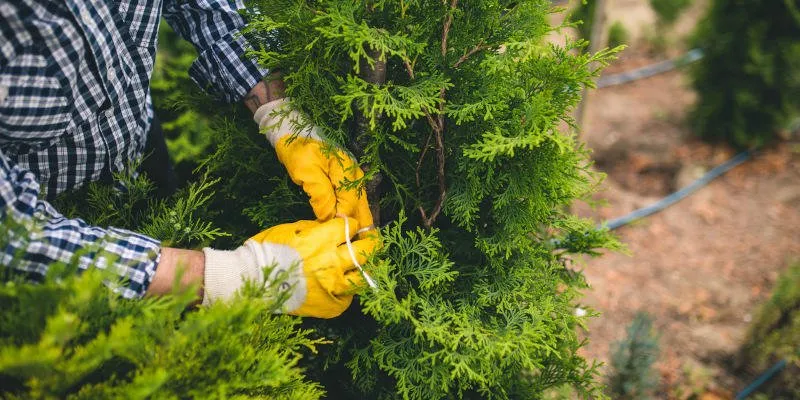 Licensed residential roofing service for fast service across Winston-Salem, NC - Tarheel Residential Roofing and Tree Service