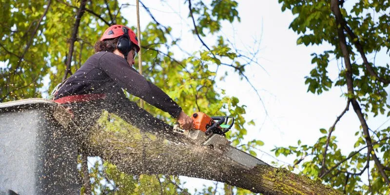 Reliable roof inspection in Winston-Salem, NC - Tarheel Residential Roofing and Tree Service