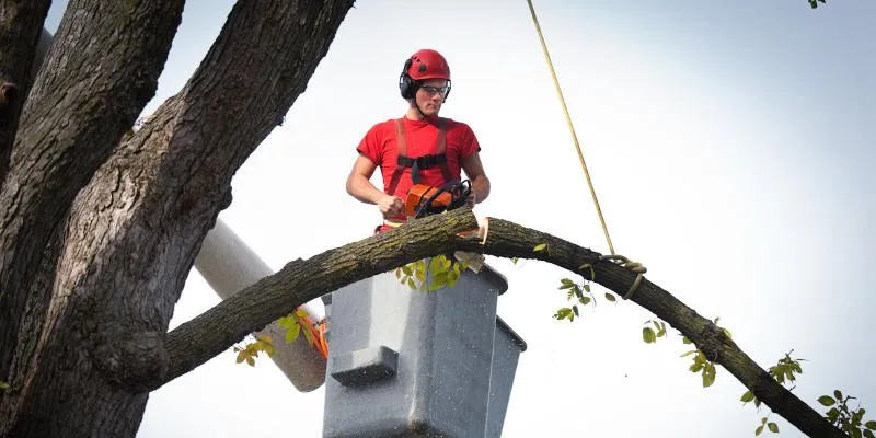Top-rated storm damage roof repair with free inspection in Winston-Salem, NC by Tarheel Residential Roofing and Tree Service