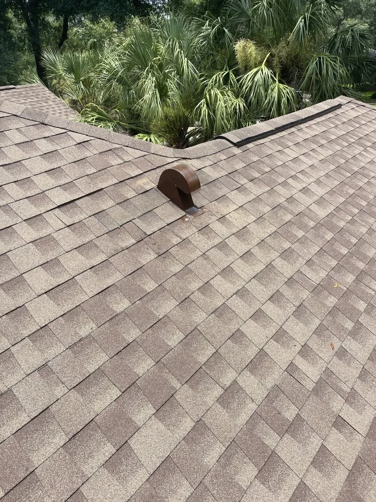 Reliable roof inspection in Jay, FL - Taylor & Famlies Home repairs
