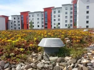 Slide of Taylor Roof