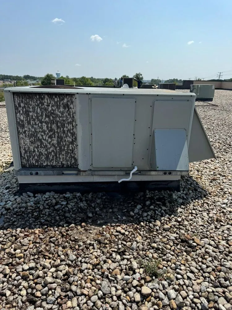 Professional flat roof repair in Frederick, VA - Taylor Roofing and Exteriors