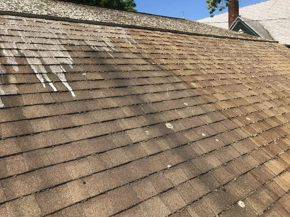 Slide of TBD Pressure Washing & Non Pressure Roof Cleaning