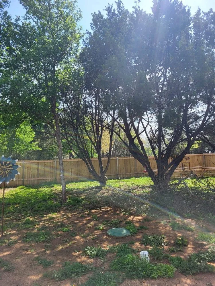 Slide of TC Construction