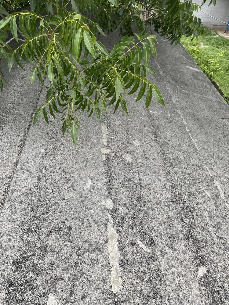 Slide of TC Construction