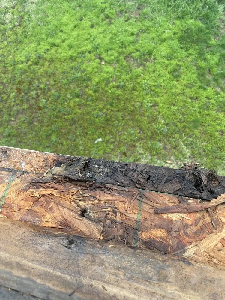 Trusted shingle roofing service in Grawn, MI - TC Integrity Building