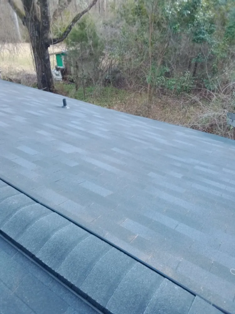 Slide of TC Remodeling