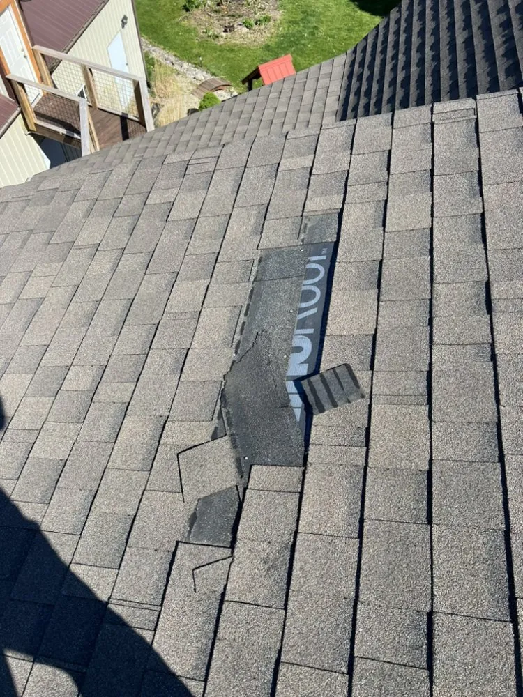 Slide of TC Restoration