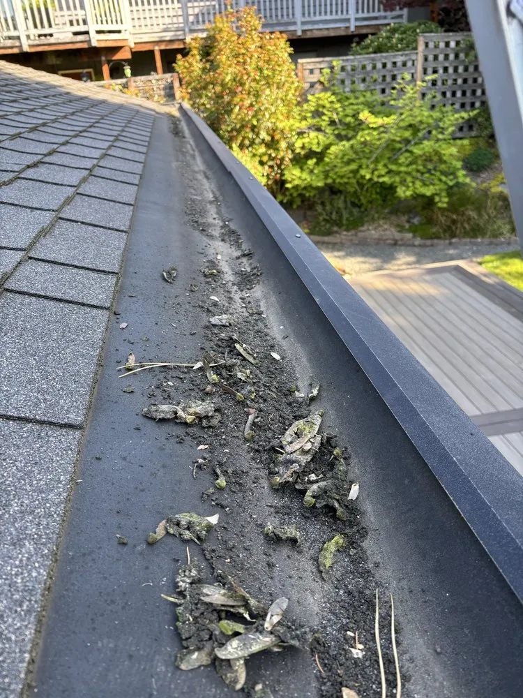 Slide of TD Exterior Pressure and Soft Wash