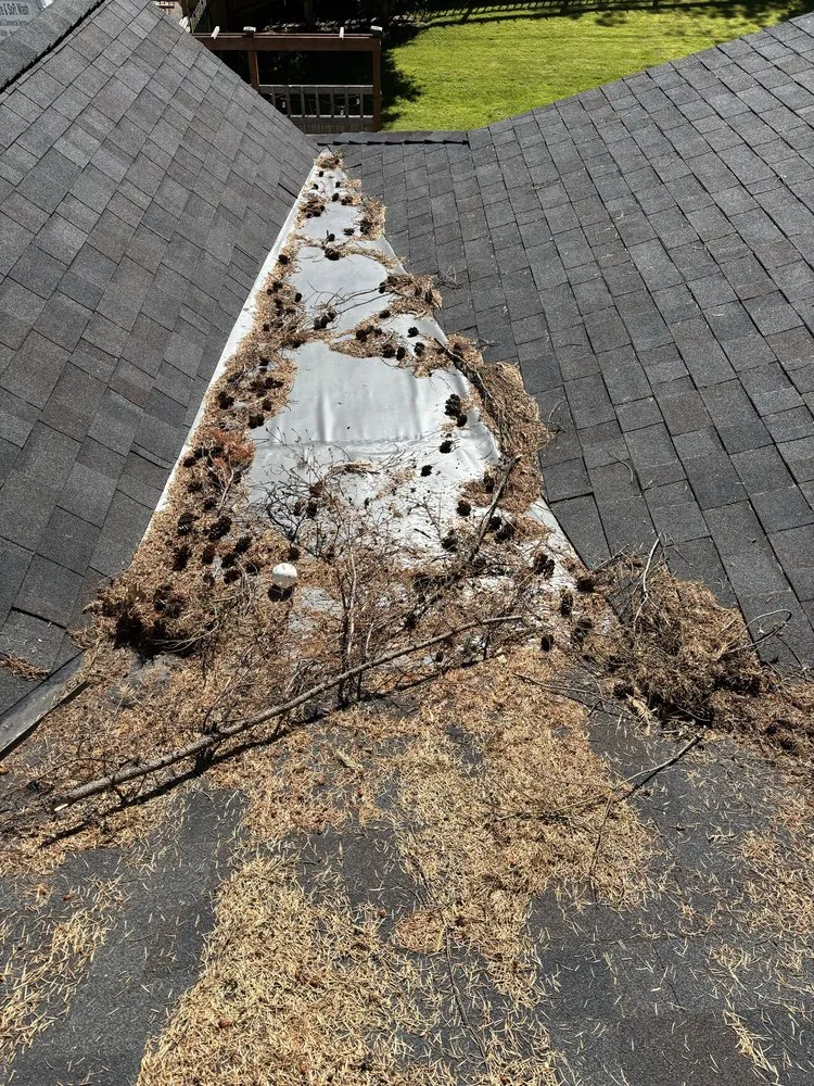 Slide of TD Exterior Pressure and Soft Wash