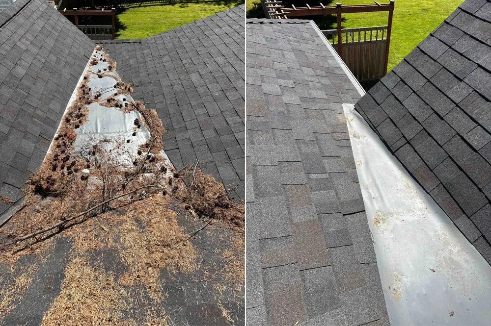 Slide of TD Exterior Pressure and Soft Wash