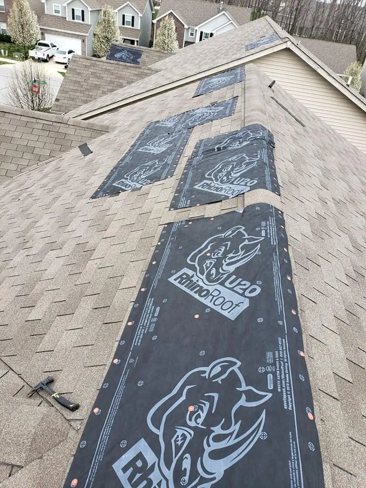 Slide of TDS Restoration